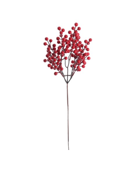 BERRY 62 CMS (NAV2661-08)