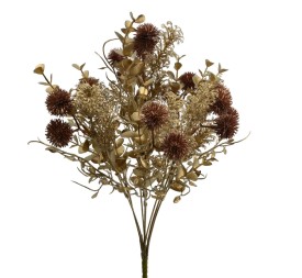 RAMO ECHINOPS (NAV2667-19)