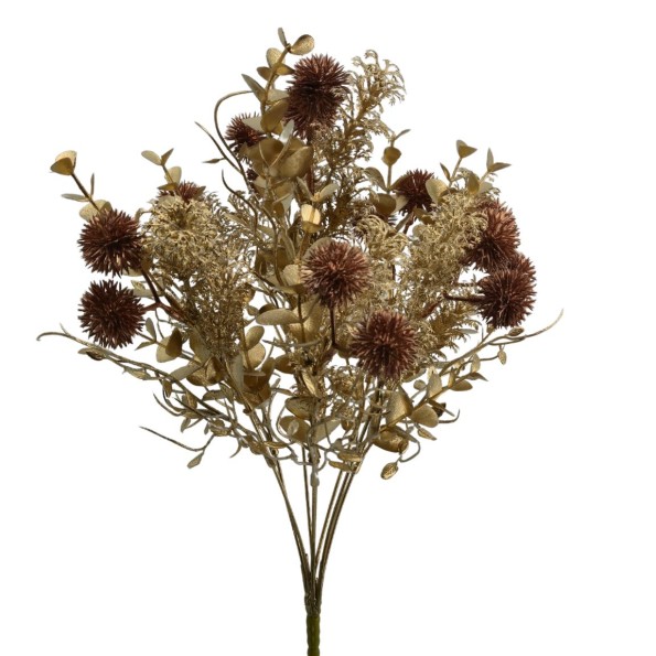 RAMO ECHINOPS (NAV2667-19)