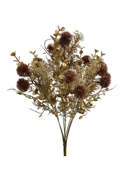 RAMO ECHINOPS (NAV2667-19)