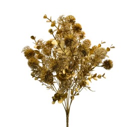RAMO ECHINOPS (NAV2667-42)