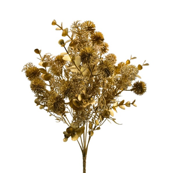 RAMO ECHINOPS (NAV2667-42)