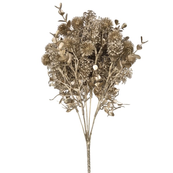 RAMO ECHINOPS (NAV2667-43)