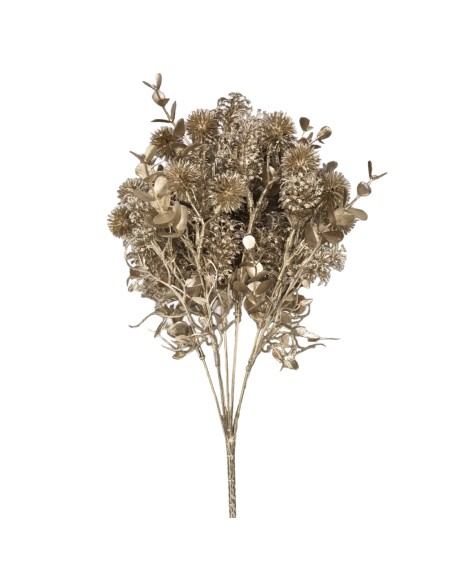 RAMO ECHINOPS (NAV2667-43)