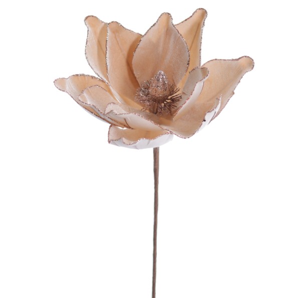 MAGNOLIA VELVET 60 CMS (NAV3625-31)