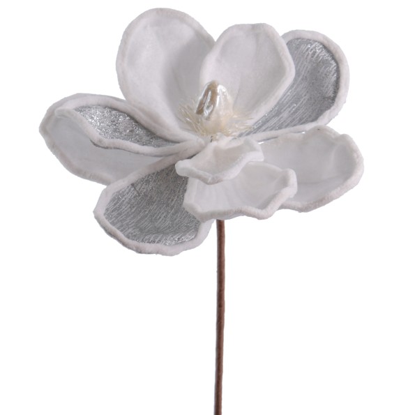 MAGNOLIA VELVET (NAV3673-11)