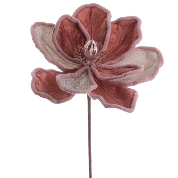 MAGNOLIA VELVET (NAV3673-12)