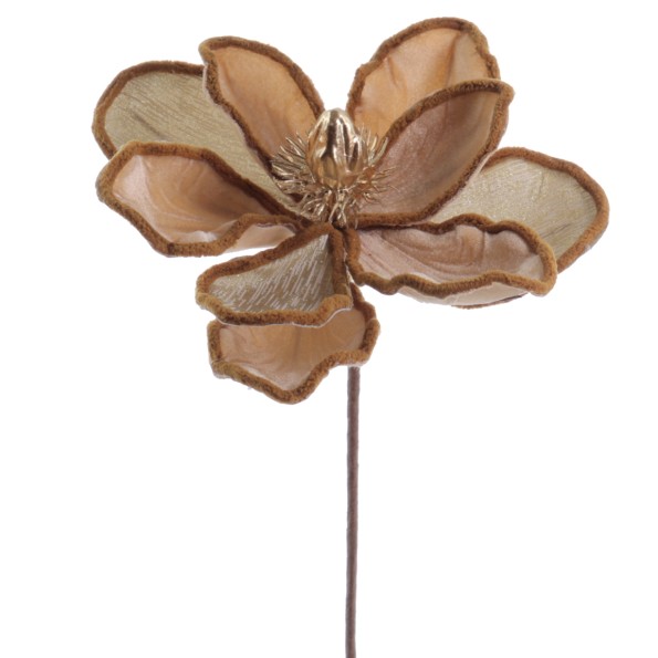MAGNOLIA VELVET (NAV3673-31)