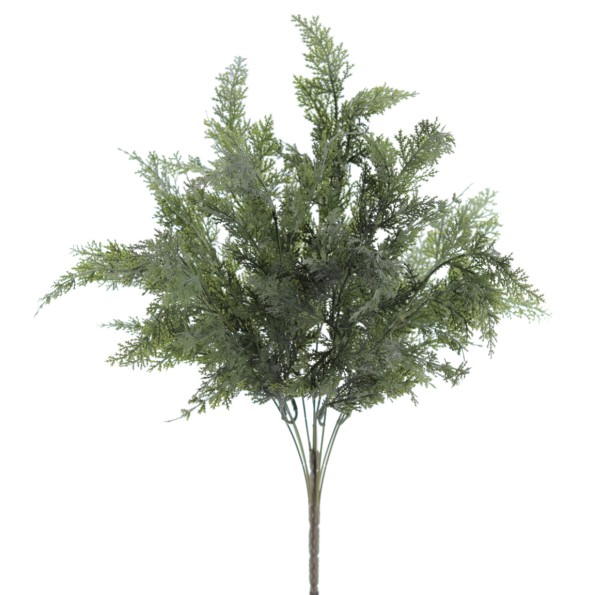 RAMO CYPRES 60 CMS (NAV3678-09)