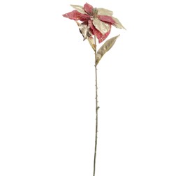 POINSETTIA COLECCION GOLDEN BLOOM 60 CMS (NAV3692-08)