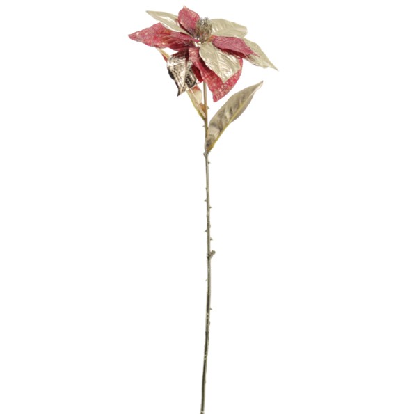POINSETTIA COLECCION GOLDEN BLOOM 60 CMS (NAV3692-08)