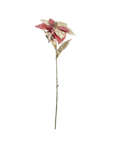 POINSETTIA COLECCION GOLDEN BLOOM 60 CMS (NAV3692-08)