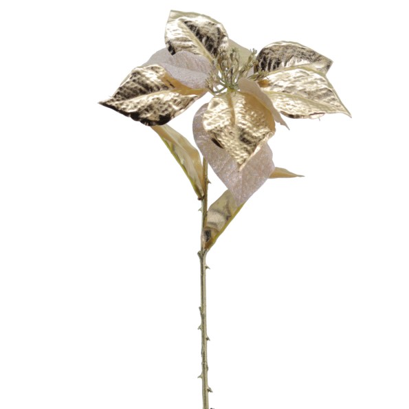 POINSETTIA COLECCION GOLDEN BLOOM 60 CMS (NAV3692-42)