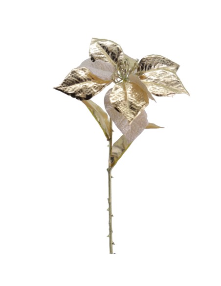 POINSETTIA COLECCION GOLDEN BLOOM 60 CMS (NAV3692-42)