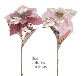POINSETTIA COLECCION GOLDEN BLOOM 60 CMS (NAV3692-76)