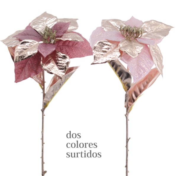 POINSETTIA COLECCION GOLDEN BLOOM 60 CMS (NAV3692-76)