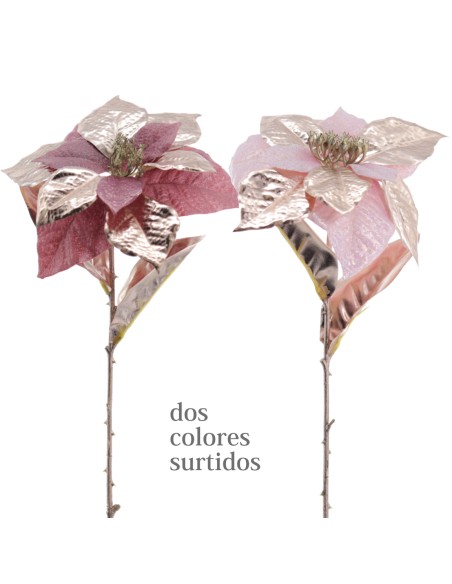 POINSETTIA COLECCION GOLDEN BLOOM 60 CMS (NAV3692-76)