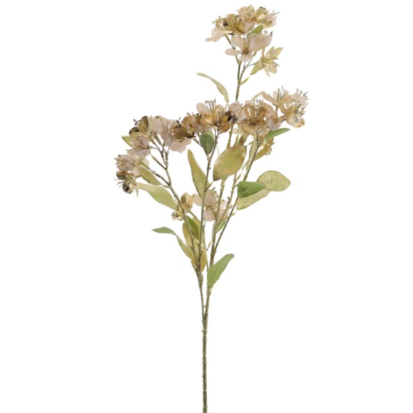 SAKURA COLECCION GOLDEN BLOOM 90 CMS (NAV3693-42)