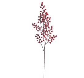 BERRY 75 CMS (NAV4700-08)
