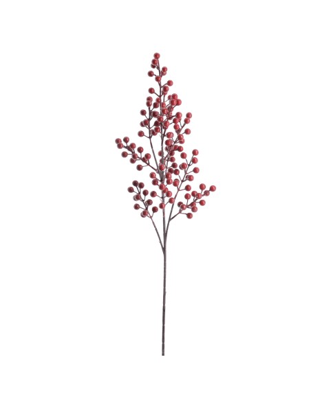 BERRY 75 CMS (NAV4700-08)