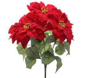 RAMO POINSETTIA X 5 (ZND912-08)