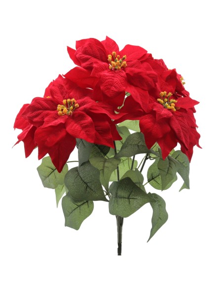 RAMO POINSETTIA X 5 (ZND912-08)