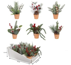 PLANTA PVC 20X20X25 6 SURT.