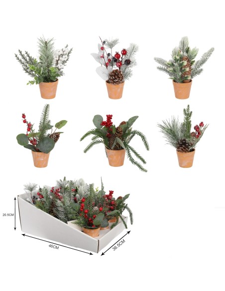 PLANTA PVC 20X20X25 6 SURT.