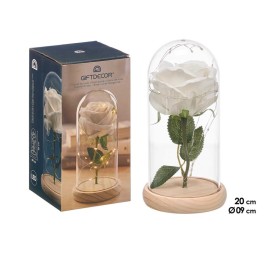 CUPULA 1 ROSA LED BLANCA
