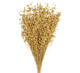 LINO 50 cms NATURAL (01)