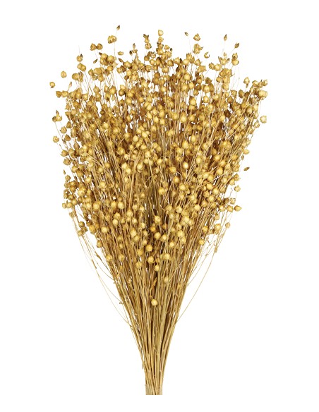 LINO 50 cms NATURAL (01)