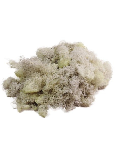 MUSGO FINLANDES PRES.500 grs. BLANCO (00)