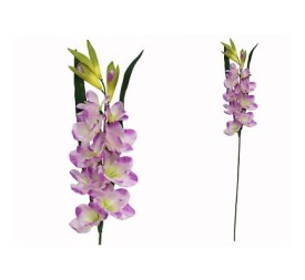 VARA GLADIOLO X 9-65CM (VIOLE