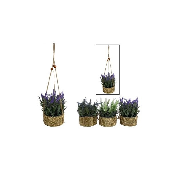 MACETA COLGAR LAVANDA SURTIDA-20/42 CM