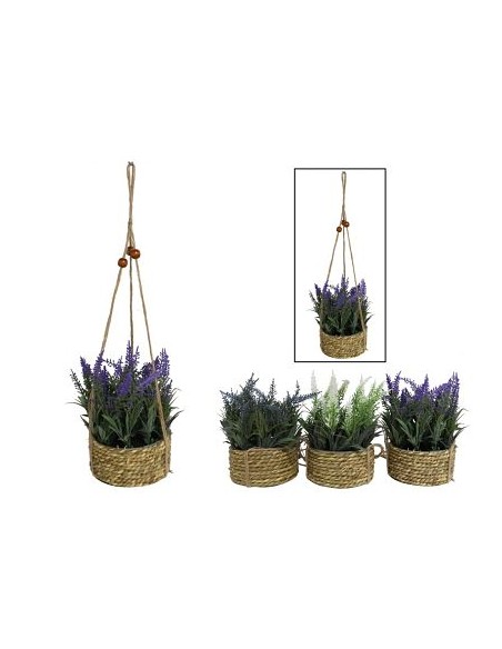 MACETA COLGAR LAVANDA SURTIDA-20/42 CM