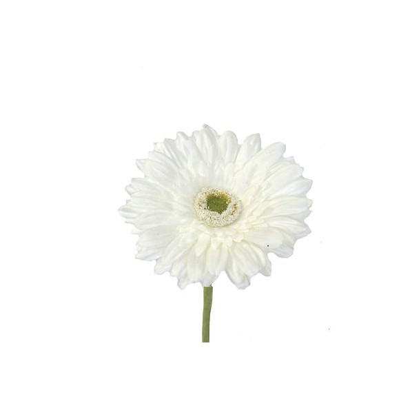 GERBERA  2295-01