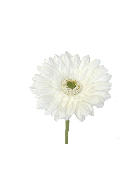 GERBERA  2295-01