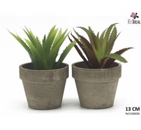 MACETA SUCULENTA 13 CM