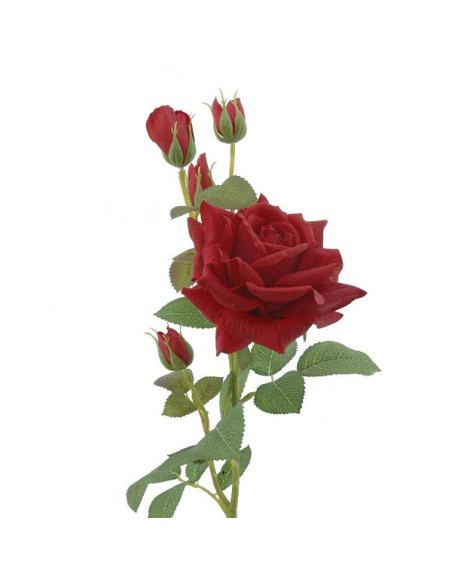 ROSA (T.N.) 75 CMS -& ROJO (2420