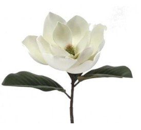 MAGNOLIA FOAM (2249-01)