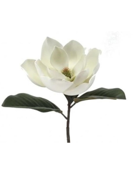 MAGNOLIA FOAM (2249-01)