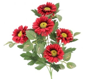 GERBERA X 5 (4364-08)