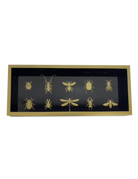 BANDEJA DECORACION MDF 30X12X2,5 INSECTOS NEGRO