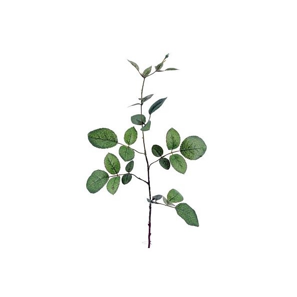 HOJA ROSAL 74cm(40cm)