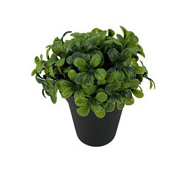 MACETERO BOJ PLAST.X6 16X15cm