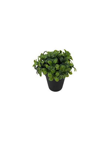 MACETERO BOJ PLAST.X6 16X15cm