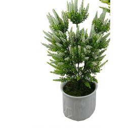 FOXTAIL X5