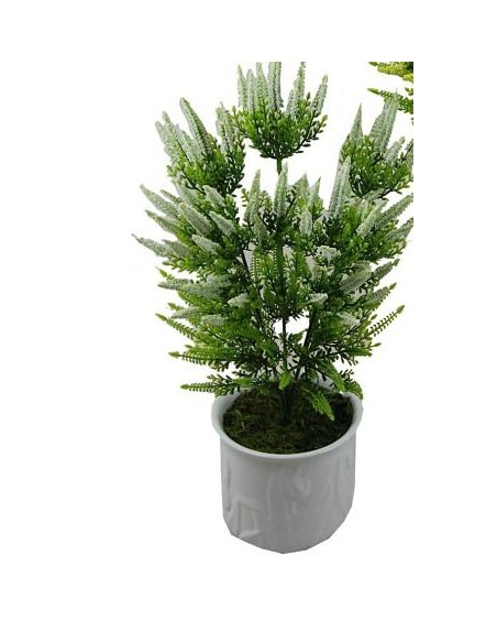 FOXTAIL X5