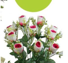 CAPULLOS RELLENO X10 CICLAMEN (R-70028-09)