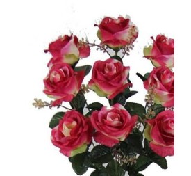 ROSAS OTOÑALES X9 CICLAMEN (R